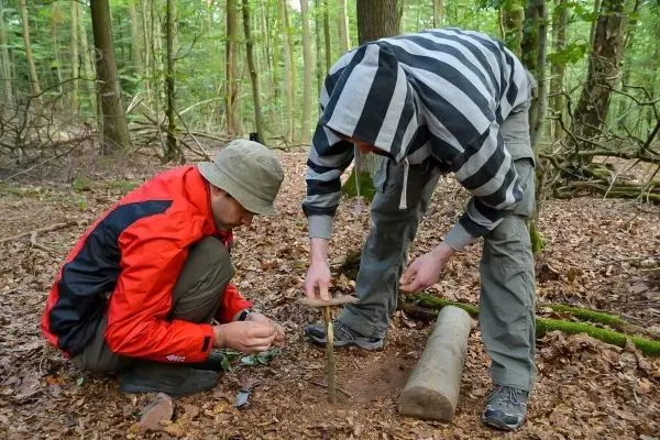 Zwei Personen bauen eine einfache Falle im Wald