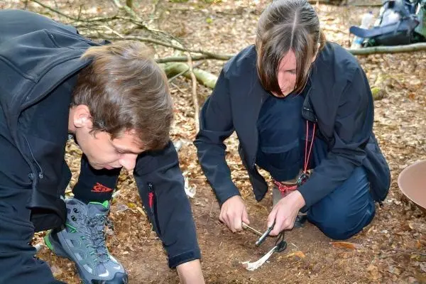 Zwei Personen bereiten Zunder mit einem Messer auf dem Waldboden vor