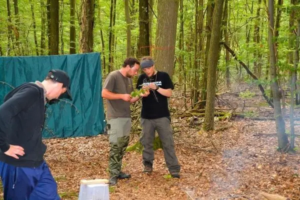 Zwei Personen betrachten Pflanzenmaterial im Wald, im Hintergrund ein Tarp