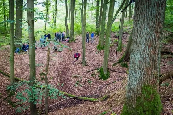 Gruppe übt Seilquerung in einem Waldgebiet mit Bäumen und Laub
