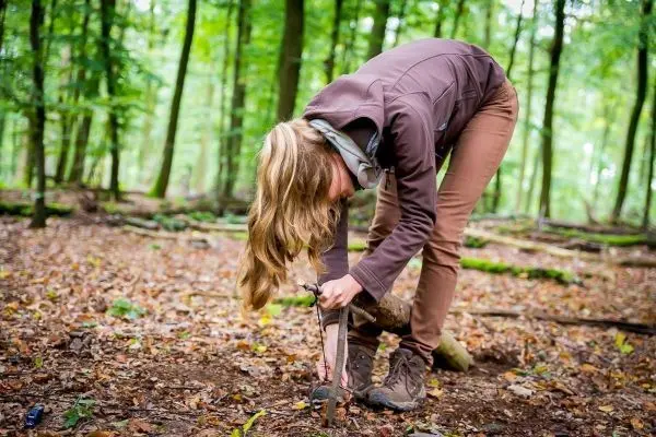 Person gräbt mit einem Stock im Waldboden