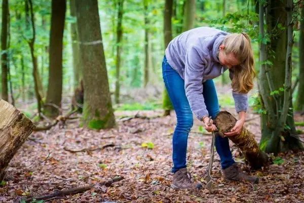 Person hebt einen Holzstamm im Wald an