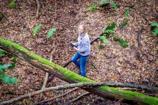 Person steht auf einem Baumstamm im Wald und hält ein Handy