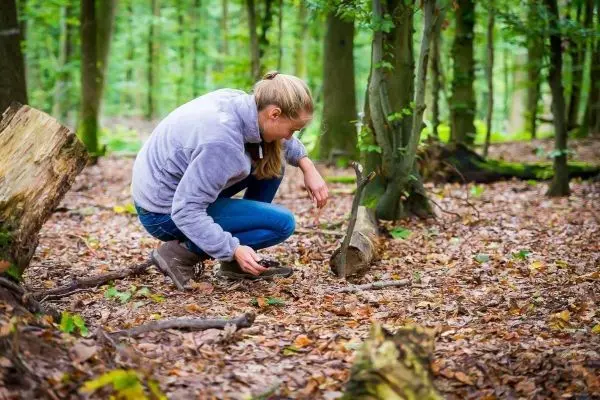 Person untersucht den Boden im Wald auf der Suche nach Materialien