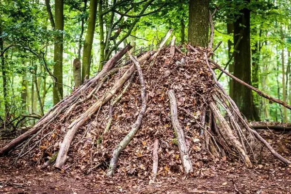 Selbstgebaute Laubhütte aus Ästen und Blättern im Wald