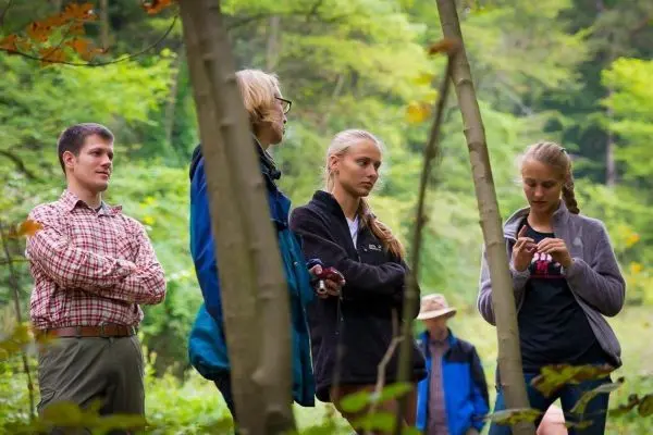 Vier Personen stehen im Wald zwischen Bäumen und beobachten die Umgebung