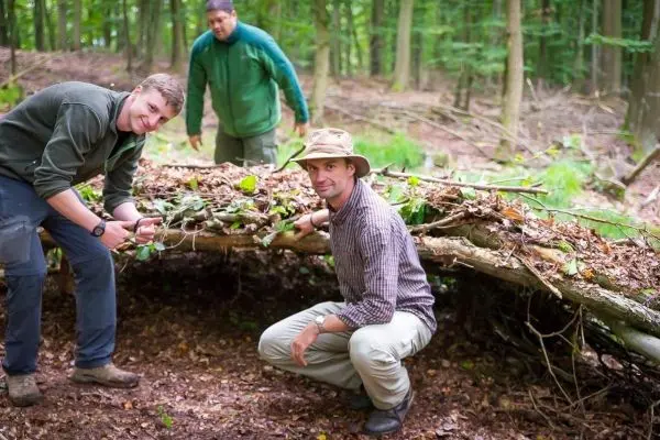 Zwei Personen bauen eine Laubhütte aus Ästen und Blättern im Wald