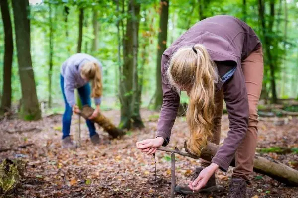 Zwei Personen bauen eine Schlagfalle im Wald mit Holz und Schnur