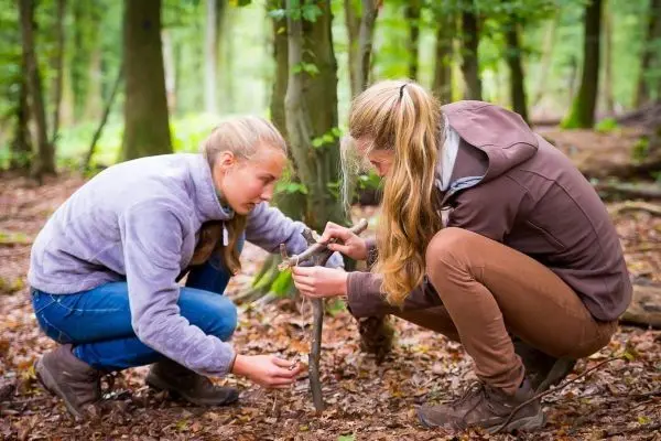 Zwei Personen bauen eine selbstgebaute Konstruktion aus Ästen im Wald