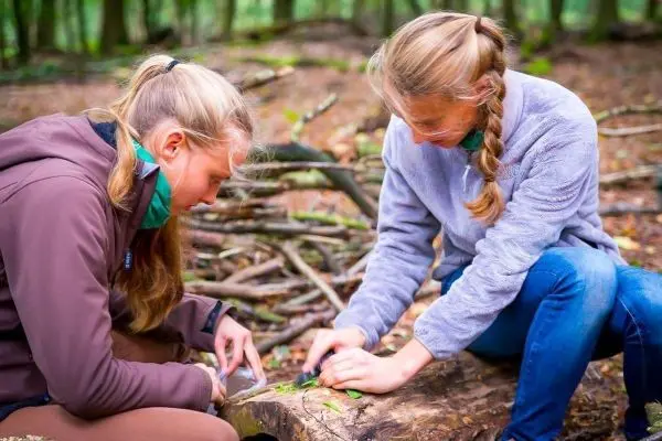 Zwei Personen bearbeiten Holz mit einem Messer auf einem Baumstamm im Wald