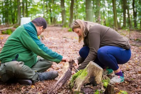Zwei Personen bereiten Holz für ein kleines Bodenfeuer im Wald vor