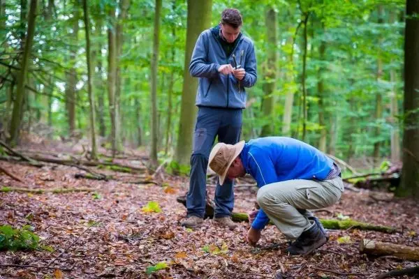 Zwei Personen untersuchen den Waldboden und sammeln Materialien