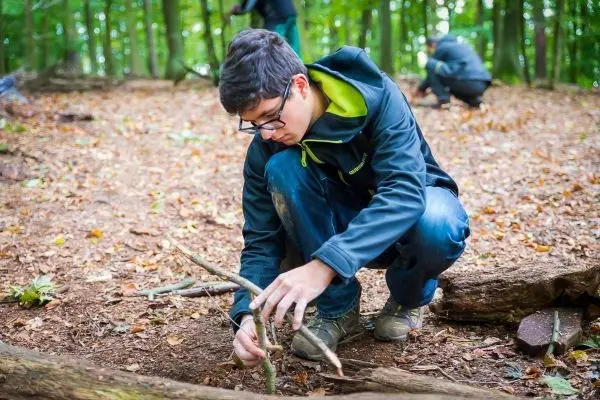 Zweige werden zu einer Konstruktion im Waldboden angeordnet