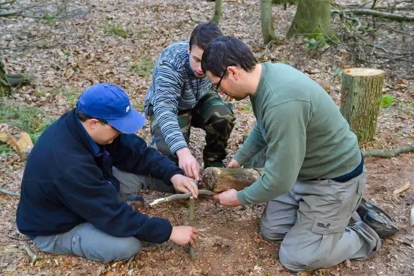 Drei Personen arbeiten gemeinsam an einer Holzstruktur im Wald