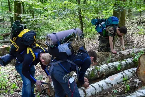 Drei Personen bearbeiten Holzstämme im Wald, Rucksäcke auf dem Rücken
