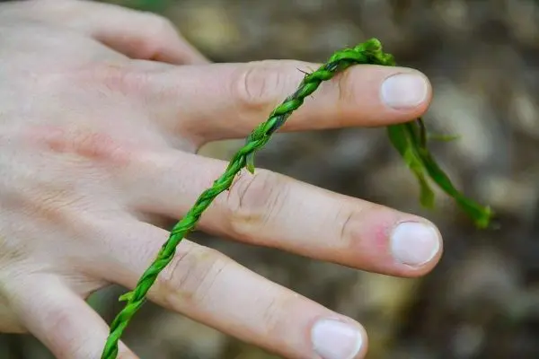Grüne Schnur aus Pflanzenmaterial ist um einen Finger gewickelt