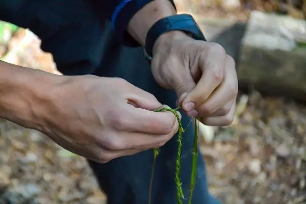 Hände flechten Pflanzenmaterial zu einer Schnur