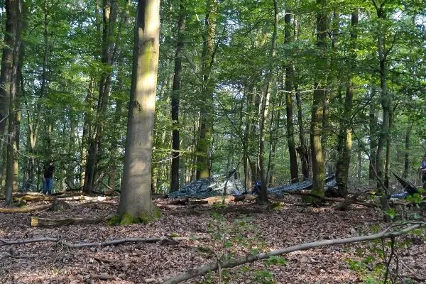 Im Wald stehen Bäume, im Hintergrund ist eine Tarp-Notunterkunft sichtbar