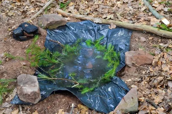 Improvisierte Wasserauffangvorrichtung aus schwarzer Folie und Steinen, umgeben von Laub
