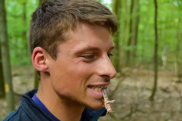 Mann hält einen kleinen Stock zwischen den Zähnen im Wald