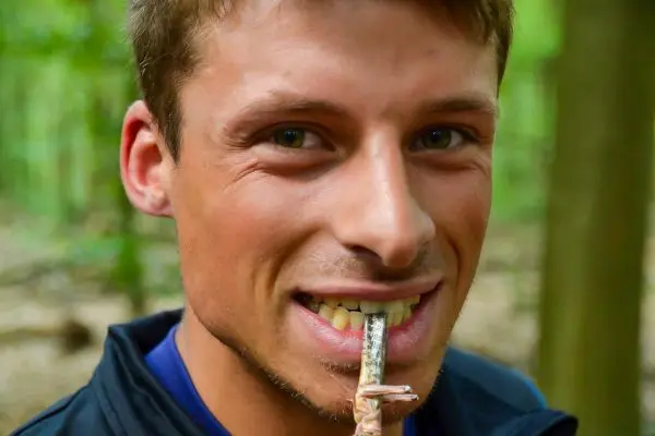 Mann hält einen Stock zwischen den Zähnen im Wald