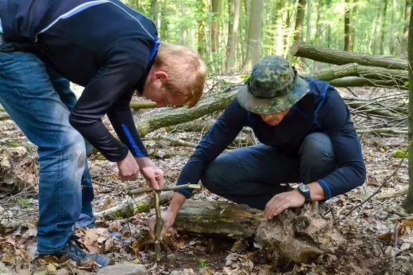 Person baut eine Feuerstelle im Wald auf