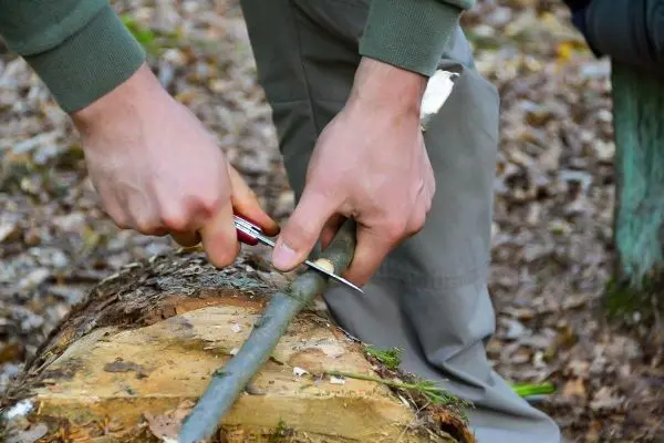 Person schnitzt mit einem Messer einen Stock auf einem Baumstamm