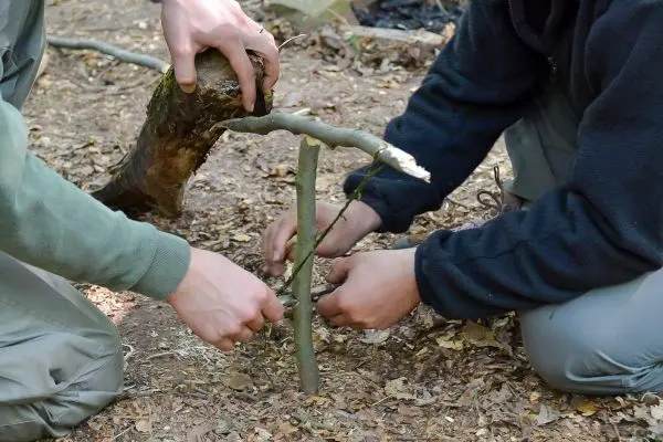 Personen bauen eine Struktur aus Ästen im Wald