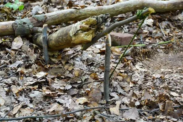 Schlagfalle (Figure-Four/4er-Falle) aus Holzstücken im Laub