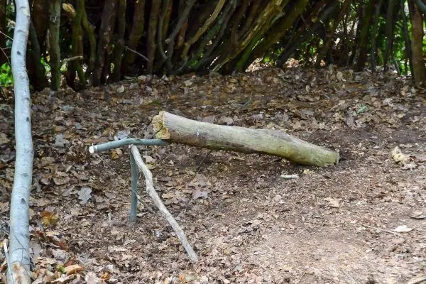 Schlagfalle (Figure-Four) aus Holzstücken im Laubboden konstruiert