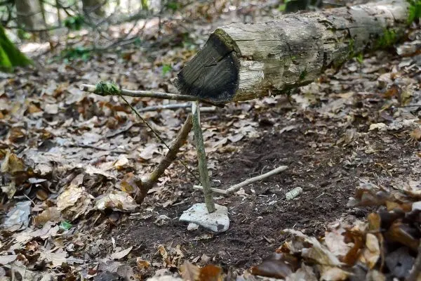 Selbstgebaute Falle aus Ästen und einem Baumstamm im Wald