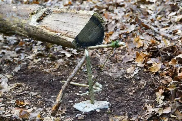 Selbstgebaute Konstruktion aus Ästen und Steinen im Laub
