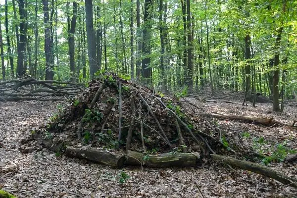 Selbstgebaute Laubhütte aus Ästen und Blättern im Wald