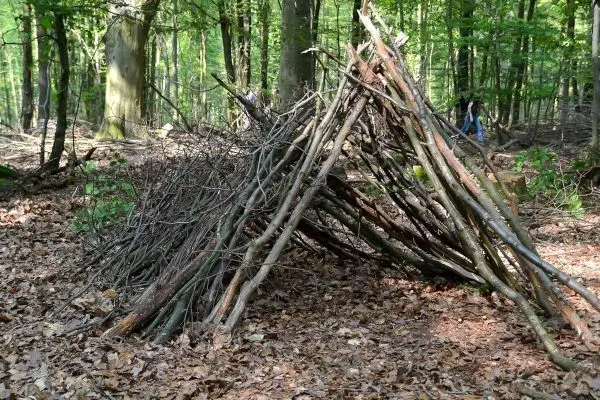 Selbstgebaute Tarp-Notunterkunft aus Ästen im Wald