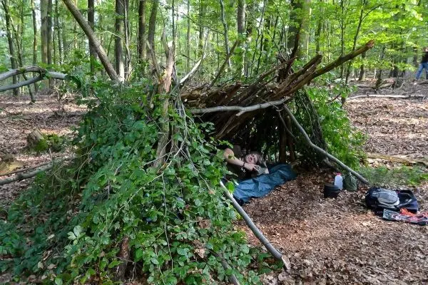 Selbstgebaute Tarp-Notunterkunft aus Ästen und Blättern im Wald