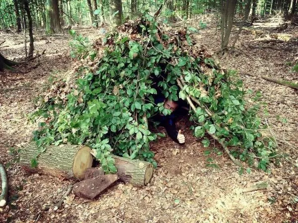 Selbstgebaute Tarp-Notunterkunft aus Ästen und Blättern im Wald