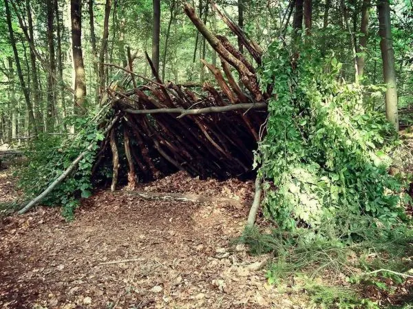 Selbstgebaute Tarp-Notunterkunft aus Ästen und Blättern im Wald