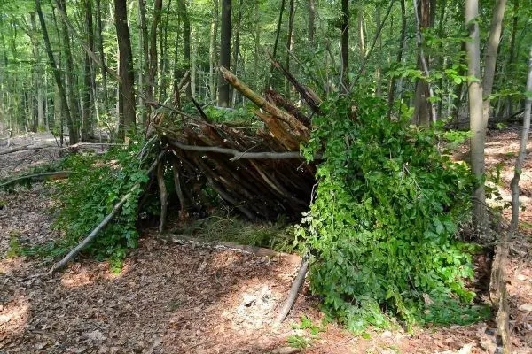 Selbstgebaute Tarp-Notunterkunft aus Ästen und Blättern im Wald