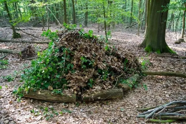 Selbstgebaute Tarp-Notunterkunft aus Ästen und Laub im Wald