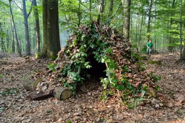 Tarp-Notunterkunft aus Ästen und Blättern im Wald