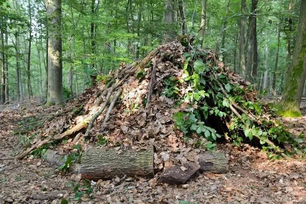 Tarp-Notunterkunft aus Ästen und Laub im Wald