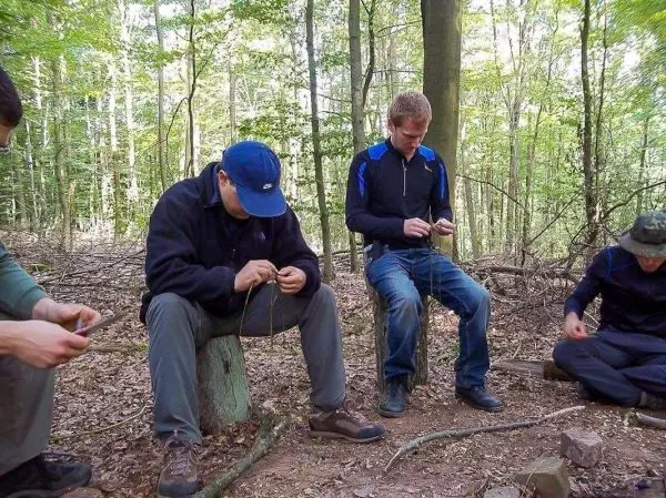 Vier Personen knoten Seile auf Baumstümpfen im Wald