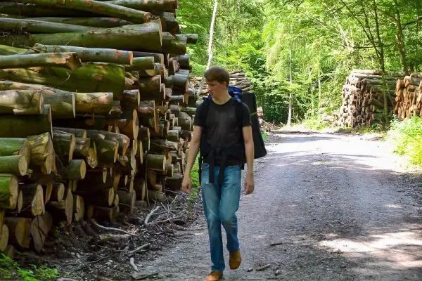 Wanderer geht auf Schotterweg zwischen Holzstapeln im Wald