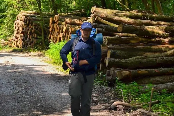 Wanderer mit Rucksack geht auf einem Waldweg entlang Holzstapeln