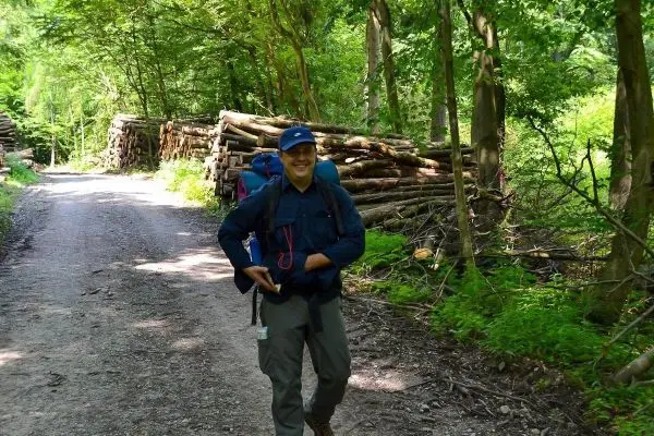 Wanderer mit Rucksack geht auf einem Waldweg entlang Holzstapeln