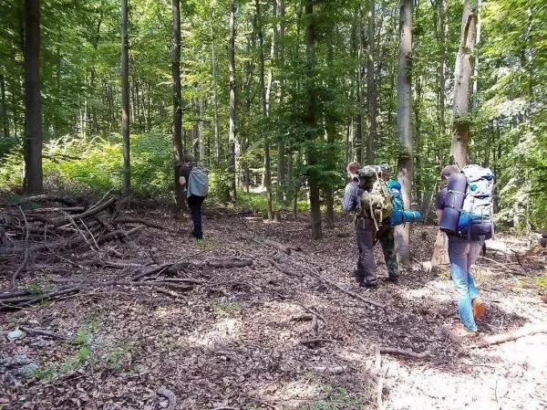Wanderer mit Rucksäcken bewegen sich durch einen Wald mit Laub und Bäumen