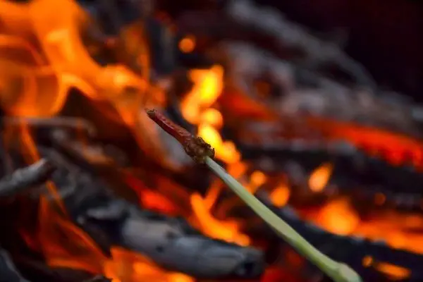 Wurststück auf einem Stock über einem offenen Feuer geröstet