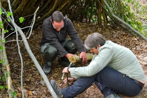 Zwei Personen arbeiten gemeinsam an einem Holzstück im Wald