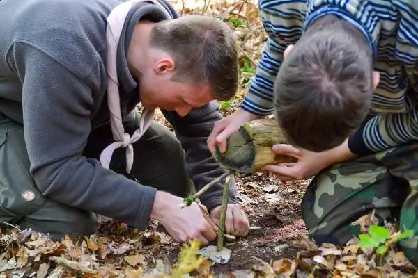 Falle) aus Holzstücken