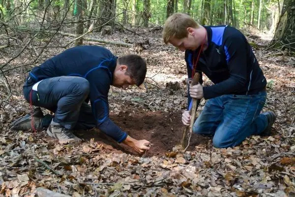 Zwei Personen graben in einem Waldboden mit einer Schaufel beim Überlebenstraining